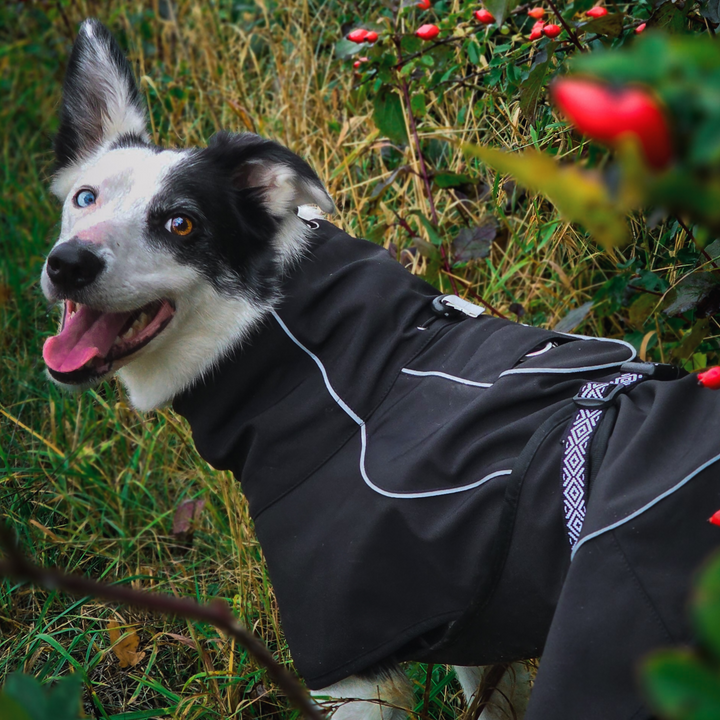 Rain-Defender Dog Coat