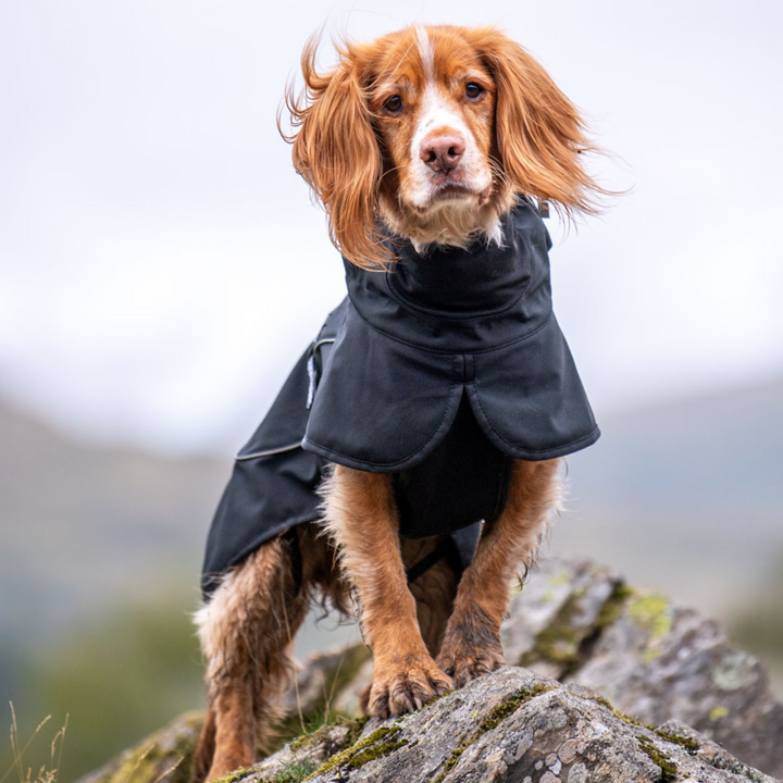 Rain Defender Dog Coat 1