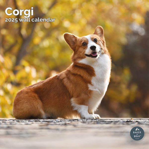 Corgi Calendar 2025