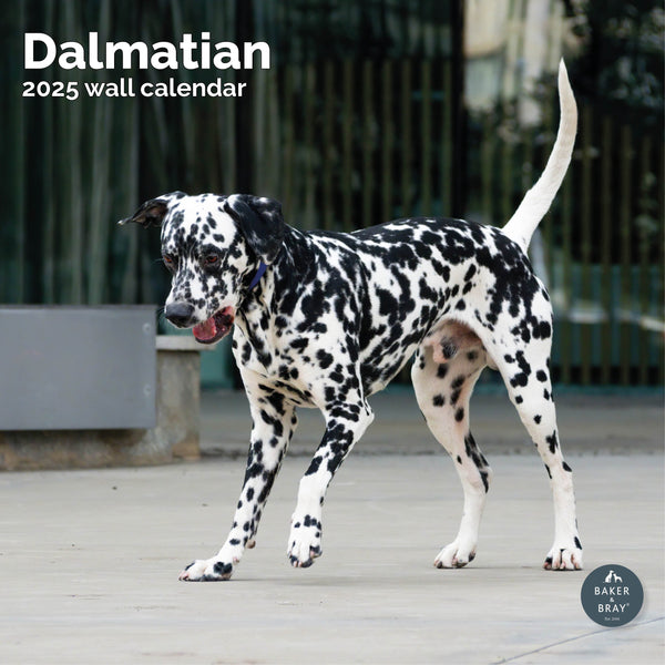 Dalmatian Calendar 2025