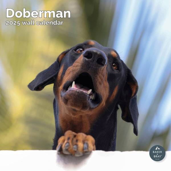 Doberman Calendar 2025