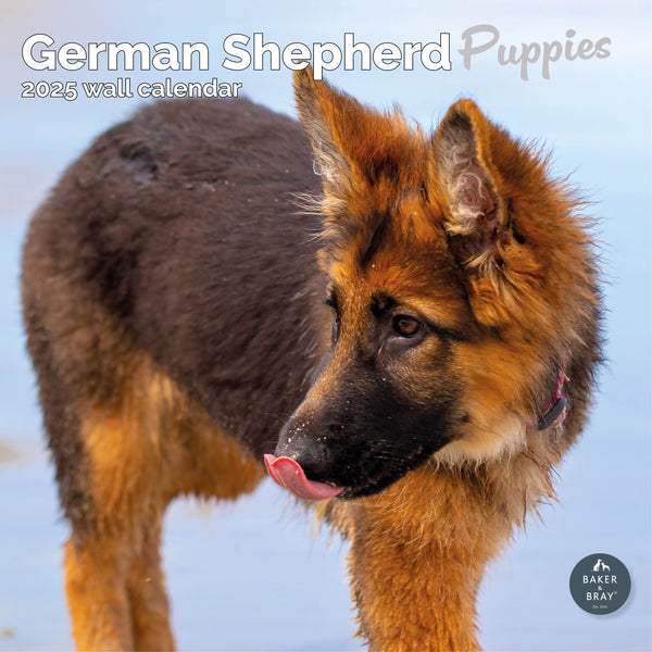 German Shepherd Puppies Calendar 2025