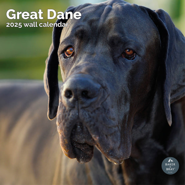 Great Dane Calendar 2025