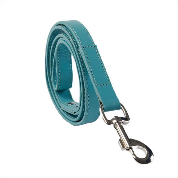 Eco Friendly Leather Dog Lead - Lagoon