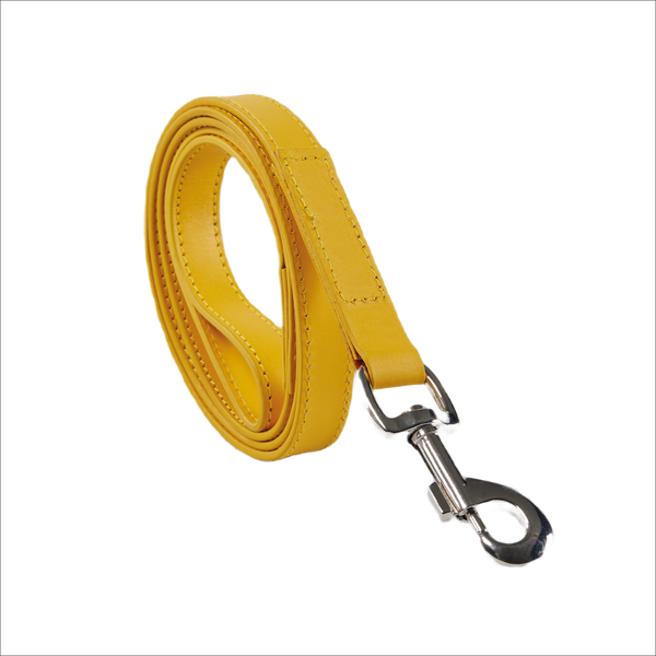 Eco Friendly Leather Dog Lead - Lemon