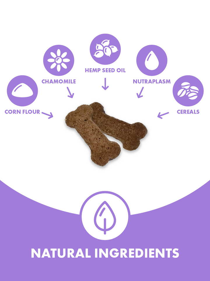 DotDotPet_Multifits_Dog_Treats_Natural_Ingredients