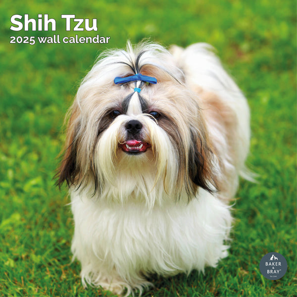 Shih Tzu Calendar 2025