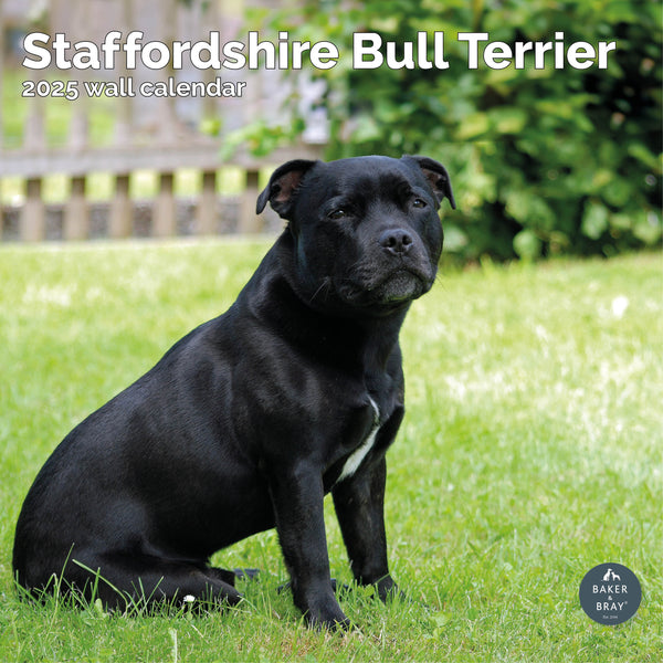 Staffordshire Bull Terrier Calendar 2025