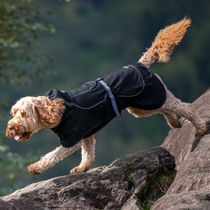 Rain Defender Dog Coat