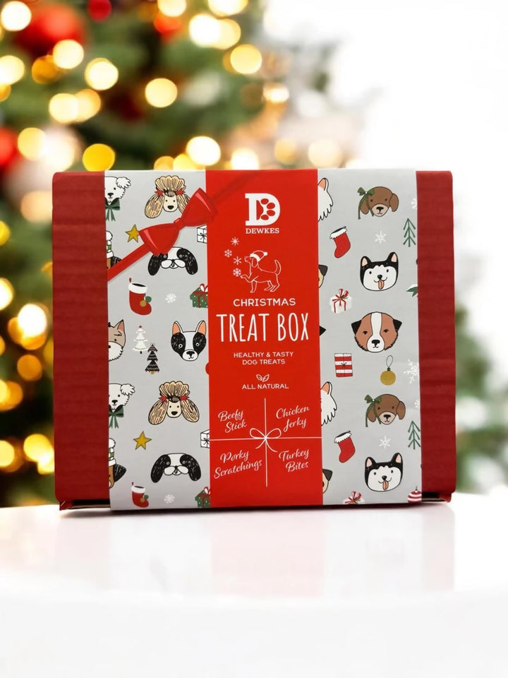 Christmas Dog Gift Box