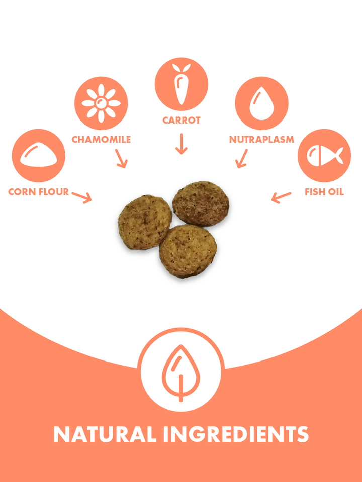 DotDotPet_Multifits_Cat_Treats_Natural_Ingredients