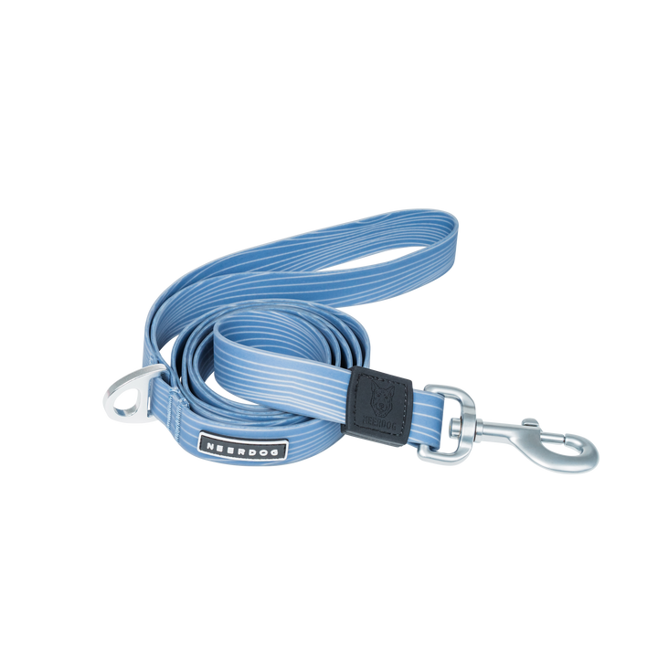 Neer Dog Blue Lead (2)