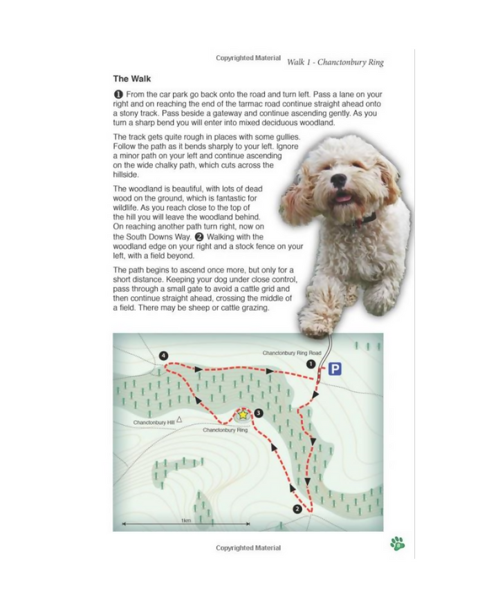 south-downs-central-example-2